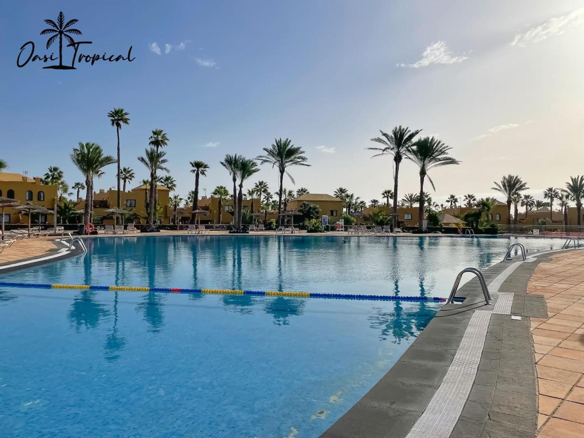 Oasi Tropical Wifi Free By Rentalfue Corralejo Dış mekan fotoğraf