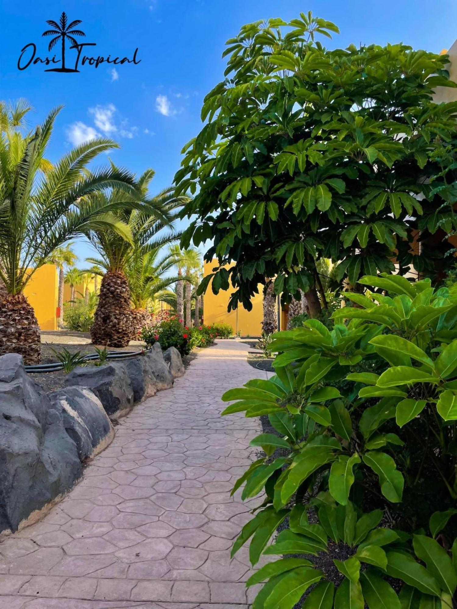 Oasi Tropical Wifi Free By Rentalfue Corralejo Dış mekan fotoğraf