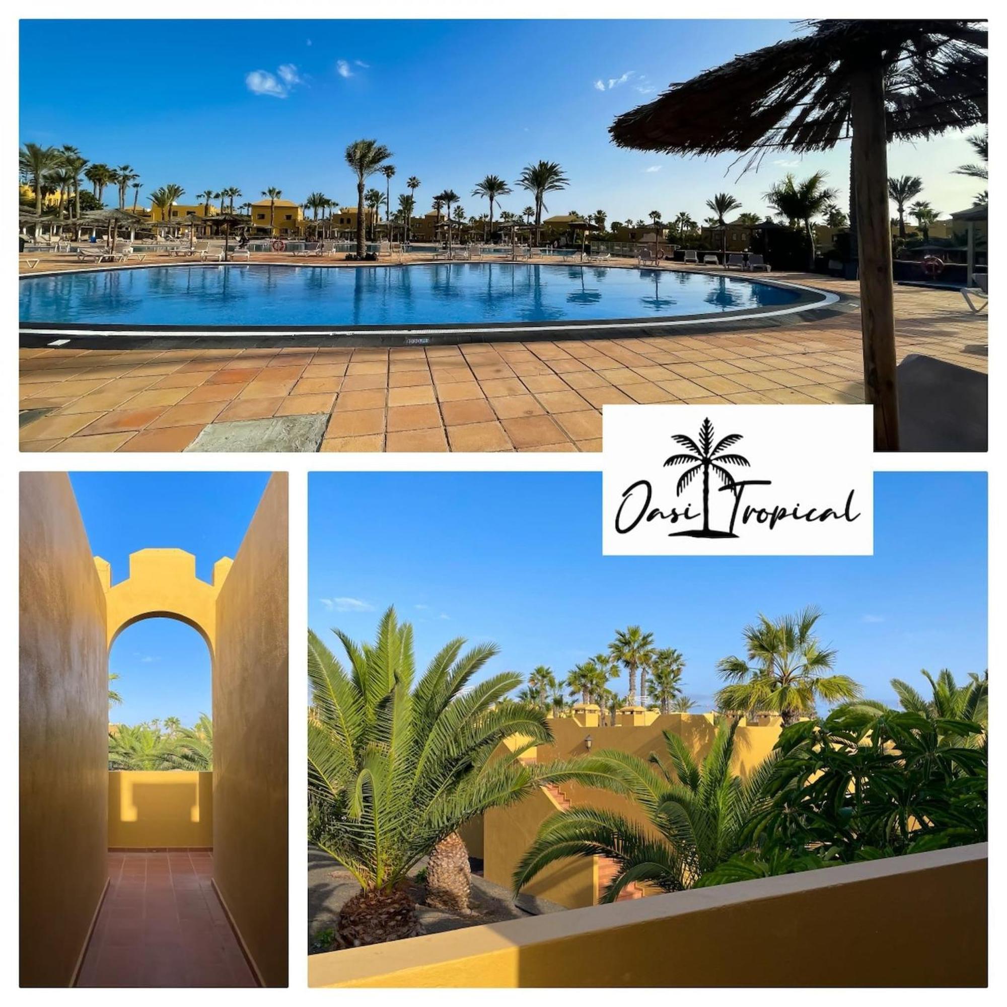 Oasi Tropical Wifi Free By Rentalfue Corralejo Dış mekan fotoğraf